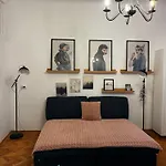 49 * Braşov
