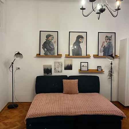 49 * Braşov